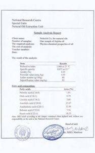 European nefertiti eg.com 1