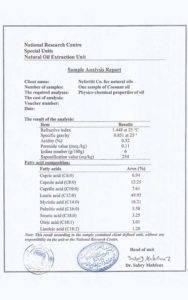 European nefertiti eg.com 2