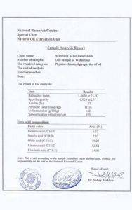 European nefertiti eg.com 3