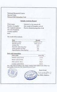 European nefertiti eg.com 4