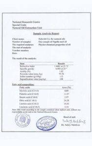 European nefertiti eg.com 5