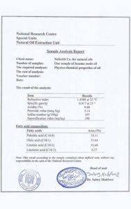 European nefertiti eg.com 6