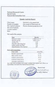 European nefertiti eg.com 7