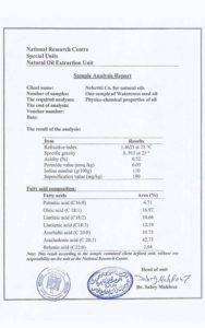 European nefertiti eg.com 8