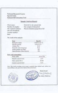 European nefertiti eg.com 9