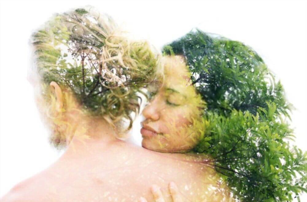 Best Oils for Better Hair