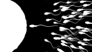 607d5da9e949d 1 300x169 1