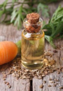 607d6c17c683a 207x300 1